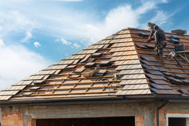 Best Roof Maintenance and Cleaning  in Nice, CA